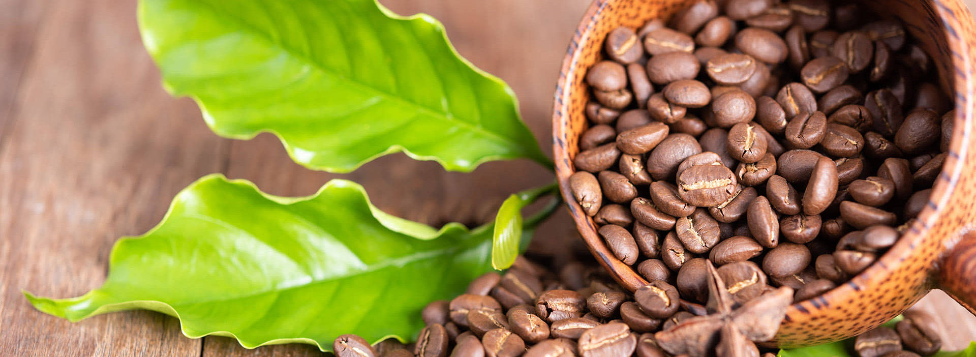 Kaffeebohnen in Schale mit grünen Blättern